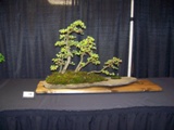 Annual Show 2011 - 17 2011
